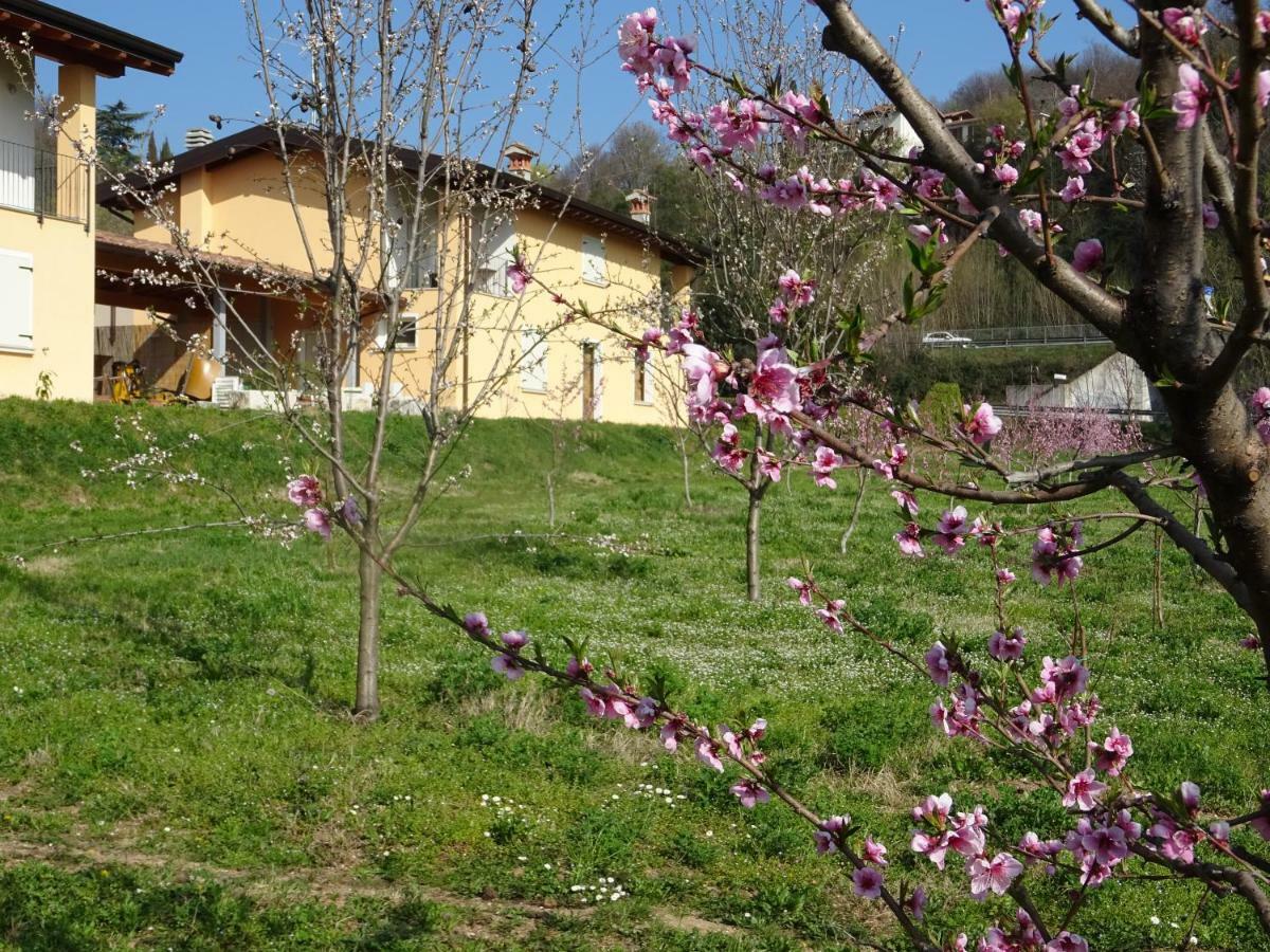 Апартаменты Cascina Legnago Bilocale A 6 Chilometri Da Salo' Villanuova sul clisi Экстерьер фото